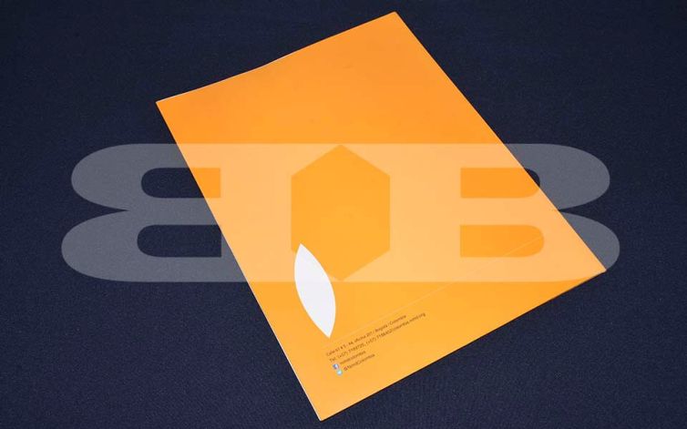 Carpeta Multiparty Democracy-1