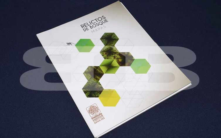 Carpeta Sinchi-5