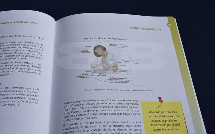 Cartilla-DMS-2